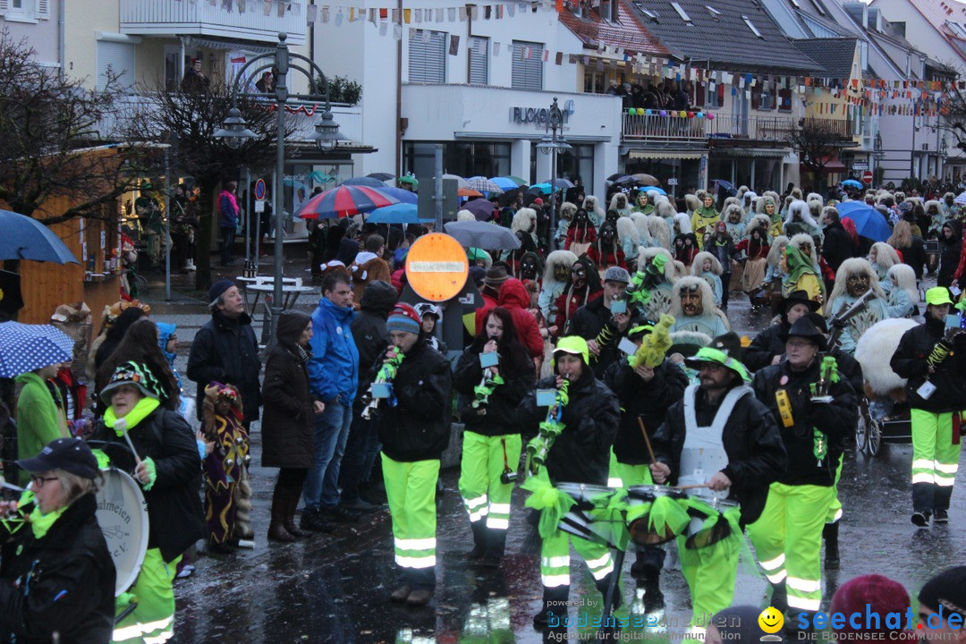 Fasnetsumzug - Fasching: Langenargen am Bodensee, 10.01.2016