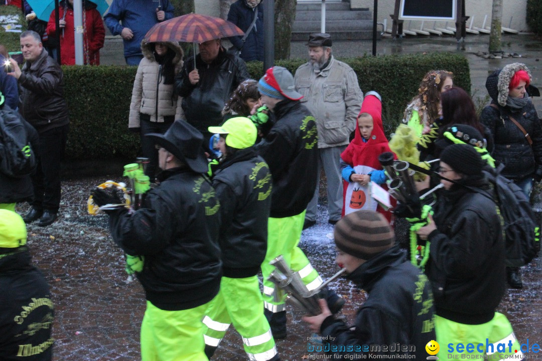 Fasnetsumzug - Fasching: Langenargen am Bodensee, 10.01.2016