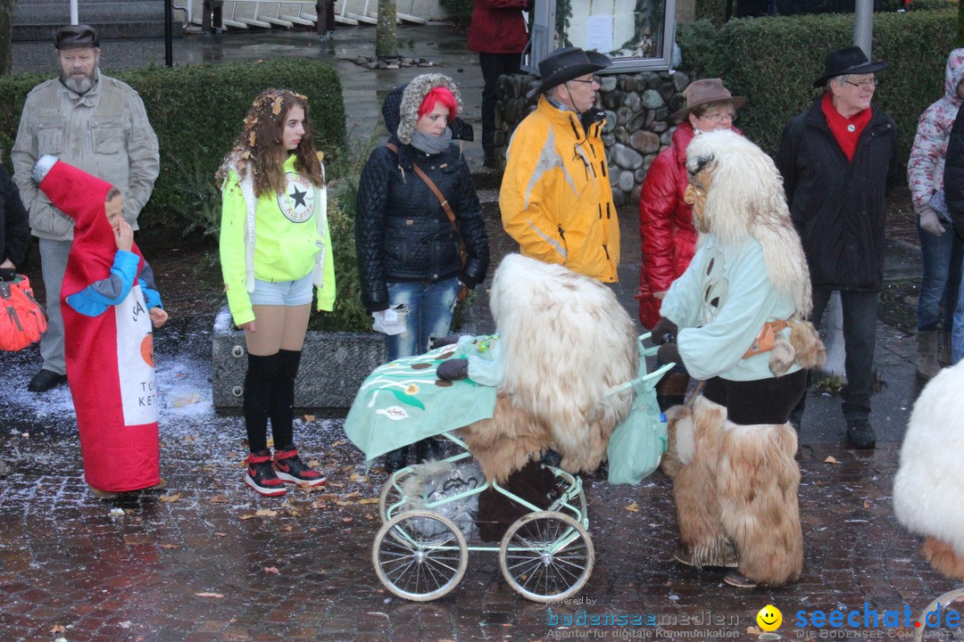 Fasnetsumzug - Fasching: Langenargen am Bodensee, 10.01.2016