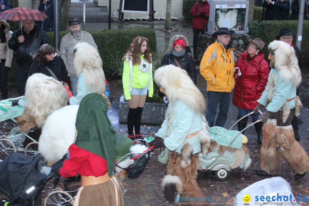 Fasnetsumzug - Fasching: Langenargen am Bodensee, 10.01.2016