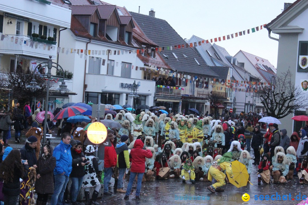 Fasnetsumzug - Fasching: Langenargen am Bodensee, 10.01.2016