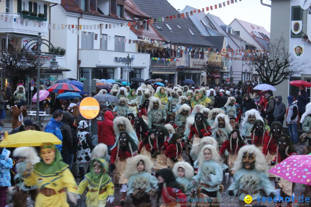 Fasnetsumzug - Fasching: Langenargen am Bodensee, 10.01.2016