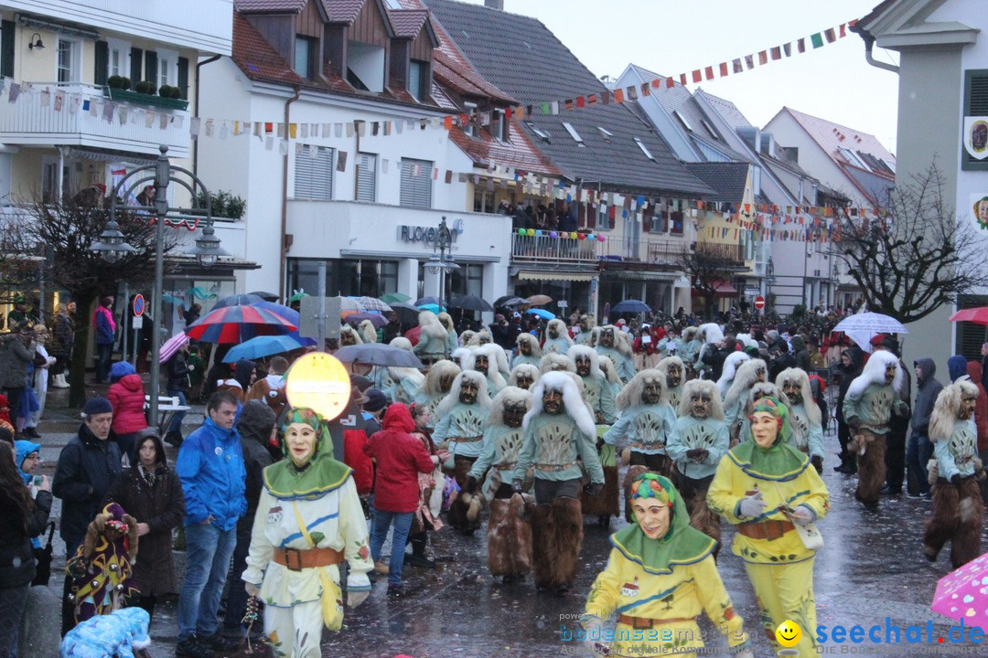 Fasnetsumzug - Fasching: Langenargen am Bodensee, 10.01.2016