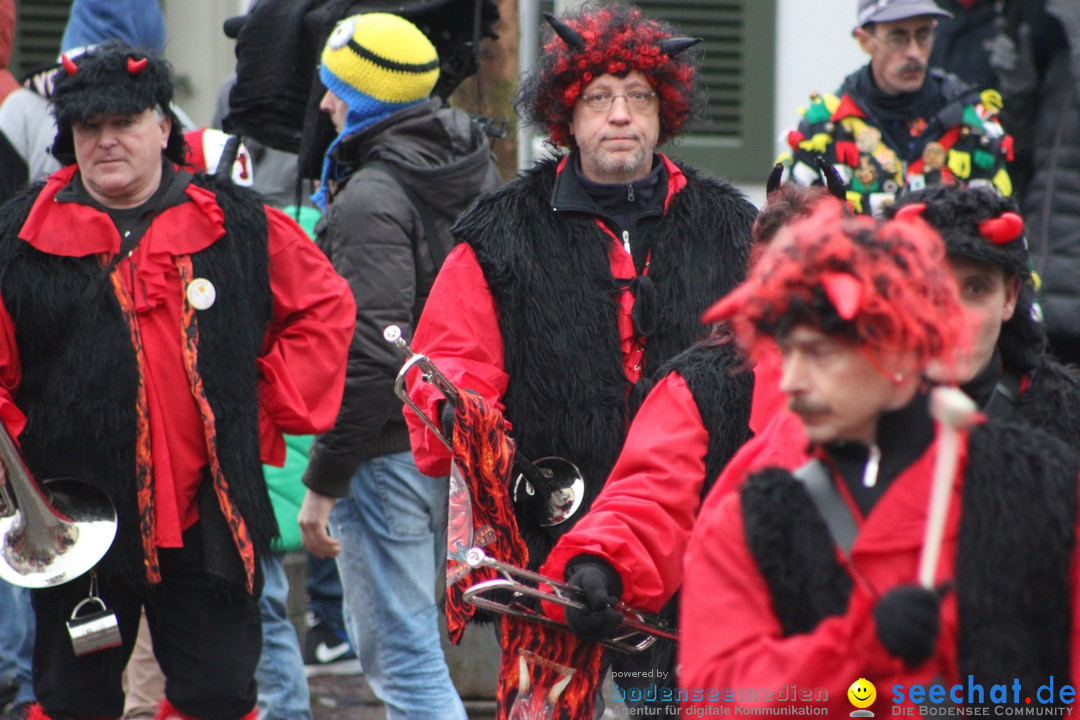 Fasnetsumzug - Fasching: Langenargen am Bodensee, 10.01.2016