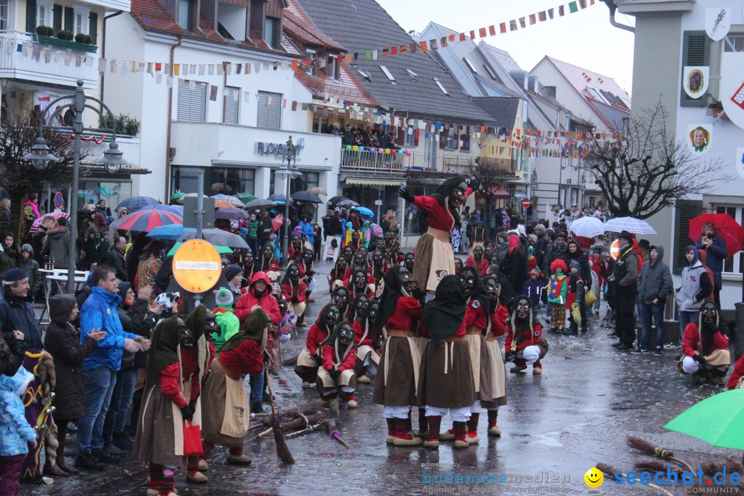 Fasnetsumzug - Fasching: Langenargen am Bodensee, 10.01.2016