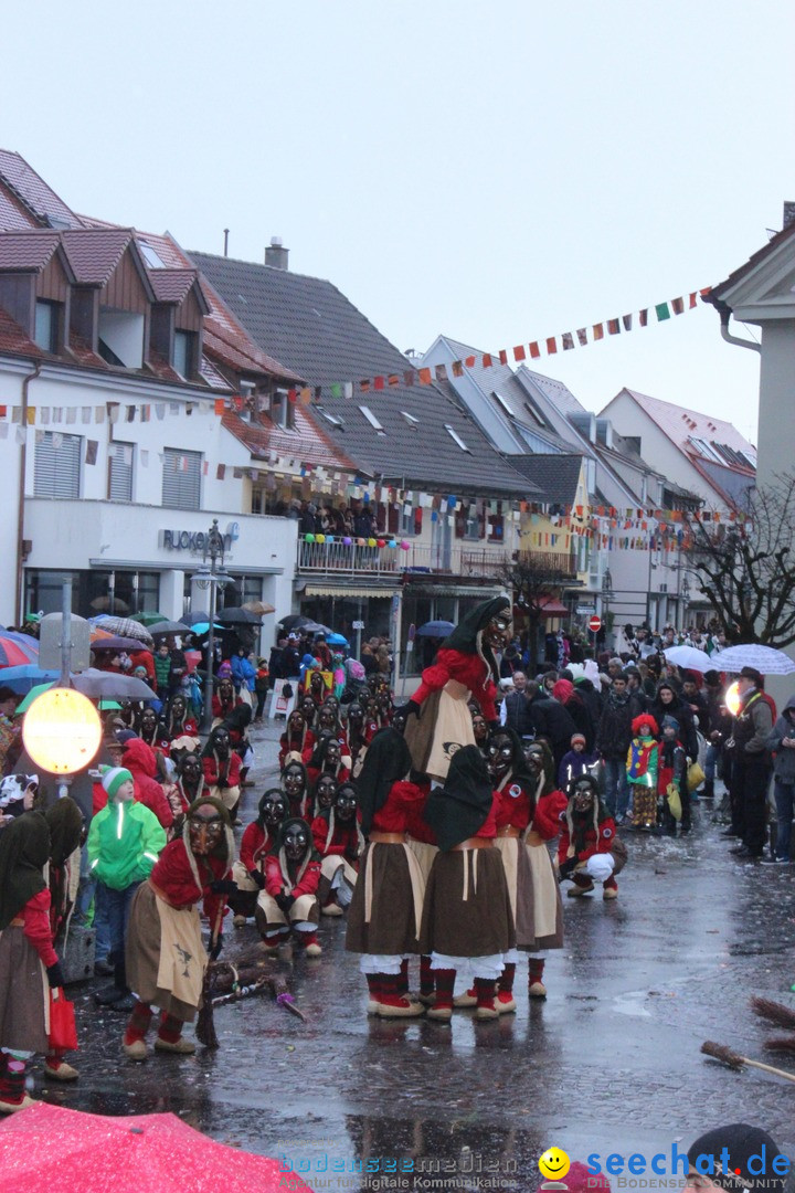 Fasnetsumzug - Fasching: Langenargen am Bodensee, 10.01.2016