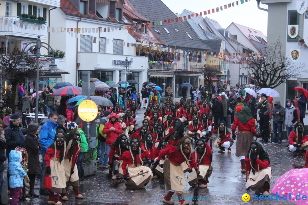 Fasnetsumzug - Fasching: Langenargen am Bodensee, 10.01.2016