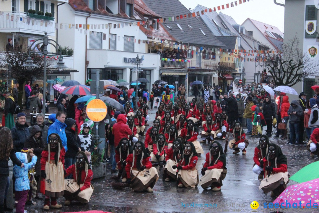 Fasnetsumzug - Fasching: Langenargen am Bodensee, 10.01.2016