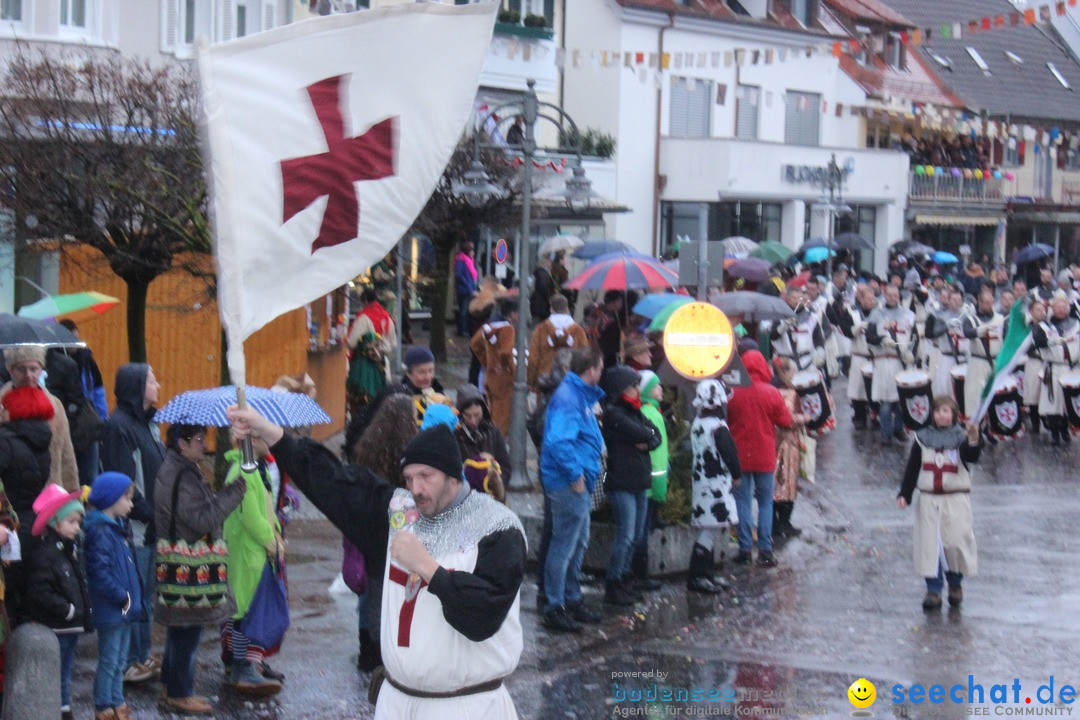 Fasnetsumzug - Fasching: Langenargen am Bodensee, 10.01.2016