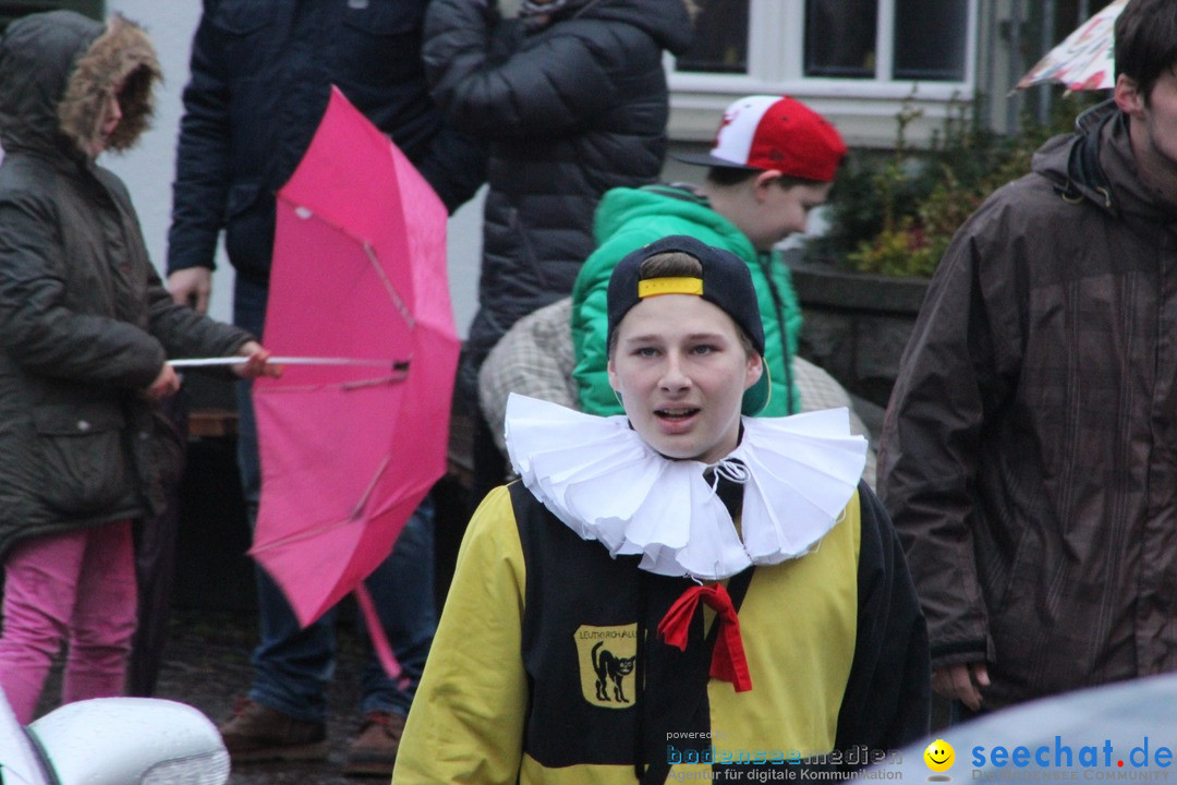 Fasnetsumzug - Fasching: Langenargen am Bodensee, 10.01.2016