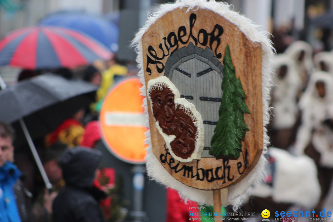 Fasnetsumzug - Fasching: Langenargen am Bodensee, 10.01.2016