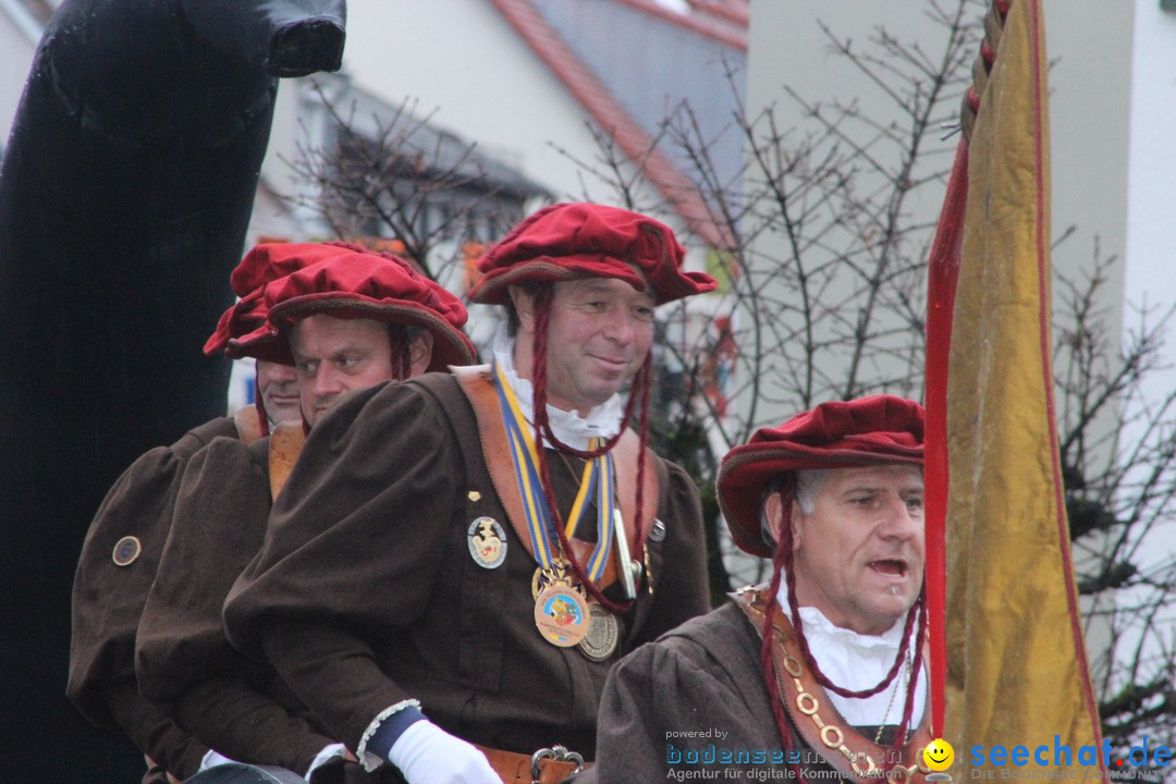 Fasnetsumzug - Fasching: Langenargen am Bodensee, 10.01.2016