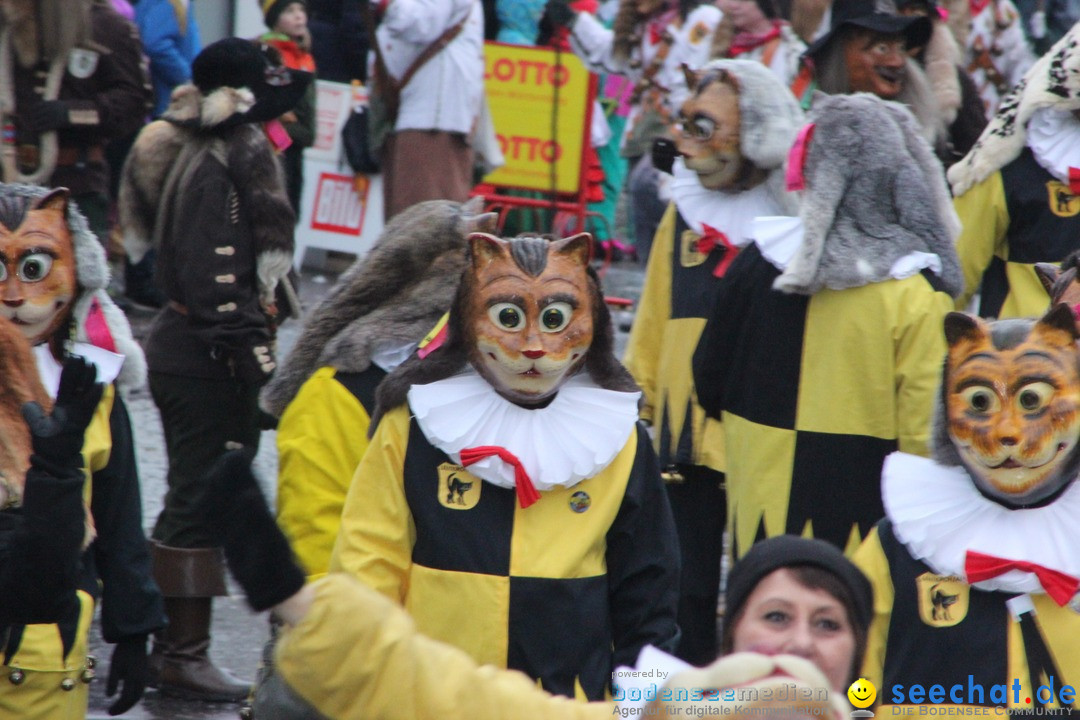 Fasnetsumzug - Fasching: Langenargen am Bodensee, 10.01.2016