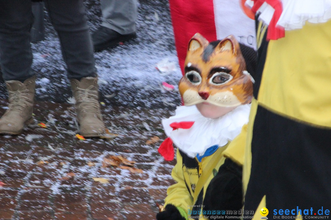 Fasnetsumzug - Fasching: Langenargen am Bodensee, 10.01.2016