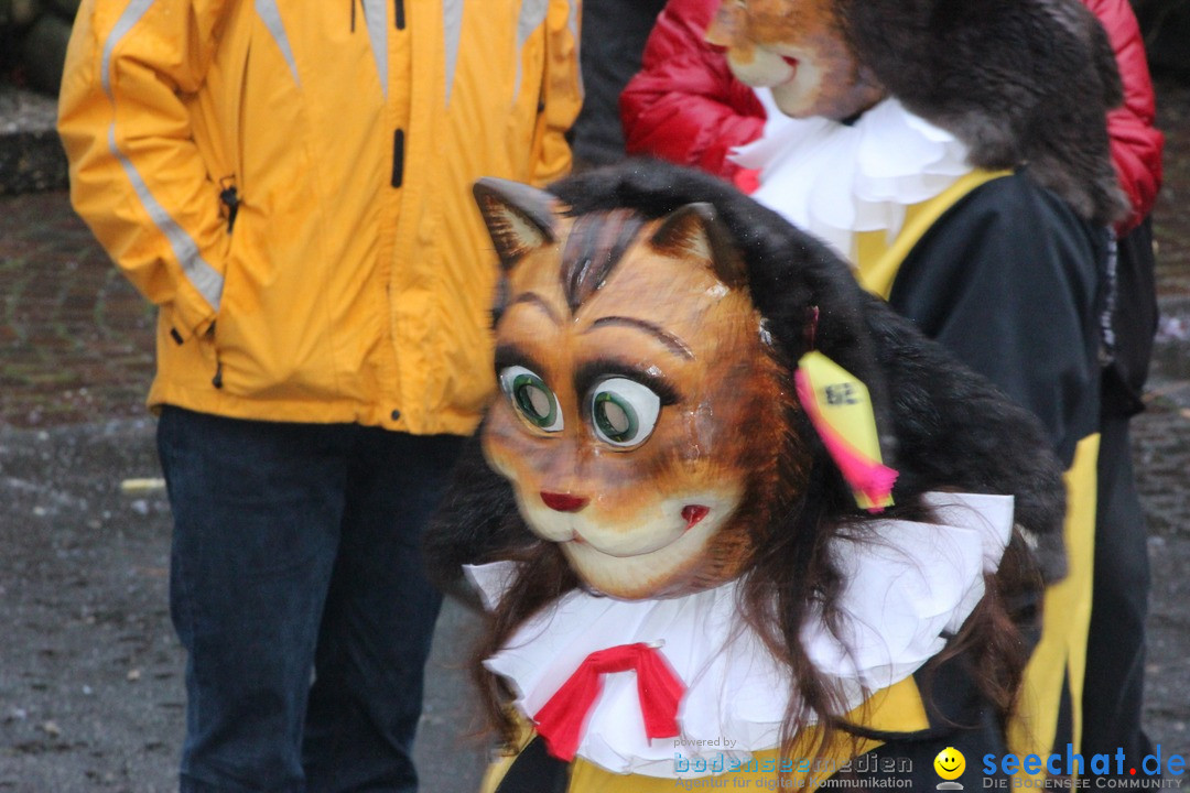 Fasnetsumzug - Fasching: Langenargen am Bodensee, 10.01.2016