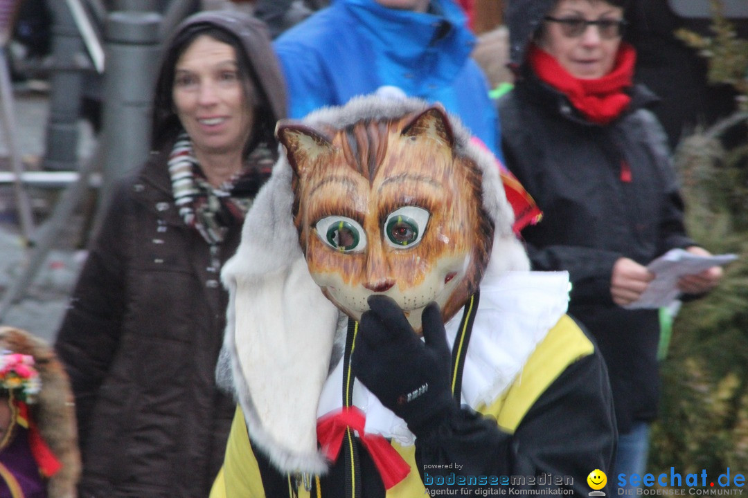 Fasnetsumzug - Fasching: Langenargen am Bodensee, 10.01.2016