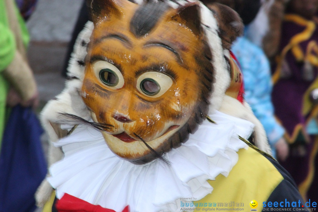 Fasnetsumzug - Fasching: Langenargen am Bodensee, 10.01.2016