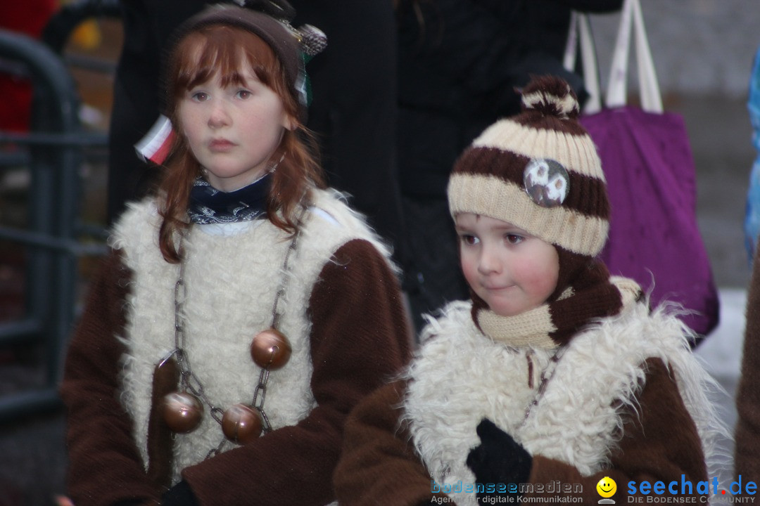 Fasnetsumzug - Fasching: Langenargen am Bodensee, 10.01.2016