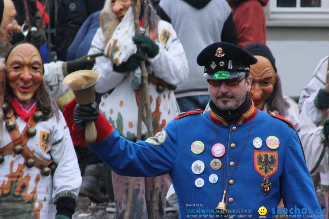 Fasnetsumzug - Fasching: Langenargen am Bodensee, 10.01.2016