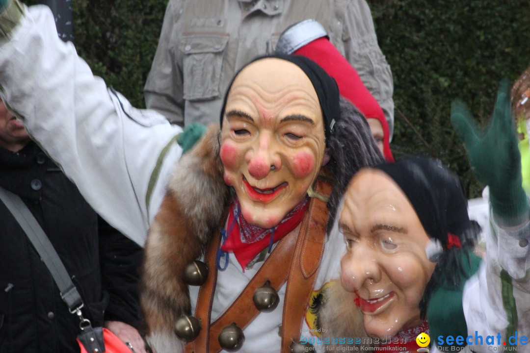 Fasnetsumzug - Fasching: Langenargen am Bodensee, 10.01.2016