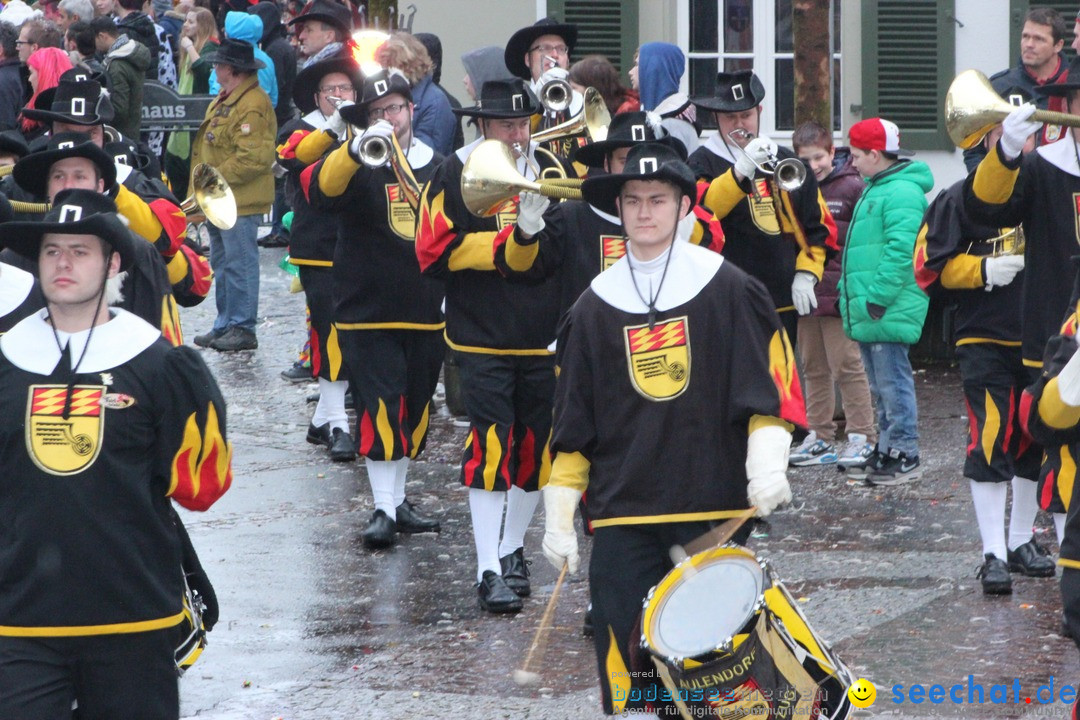 Fasnetsumzug - Fasching: Langenargen am Bodensee, 10.01.2016