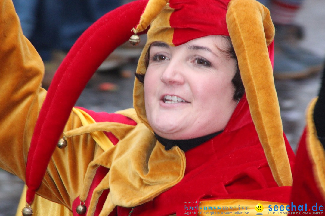 Fasnetsumzug - Fasching: Langenargen am Bodensee, 10.01.2016