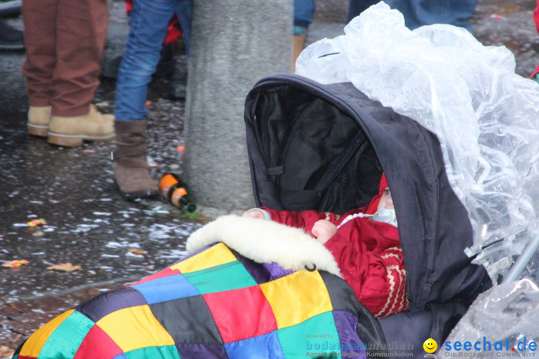 Fasnetsumzug - Fasching: Langenargen am Bodensee, 10.01.2016