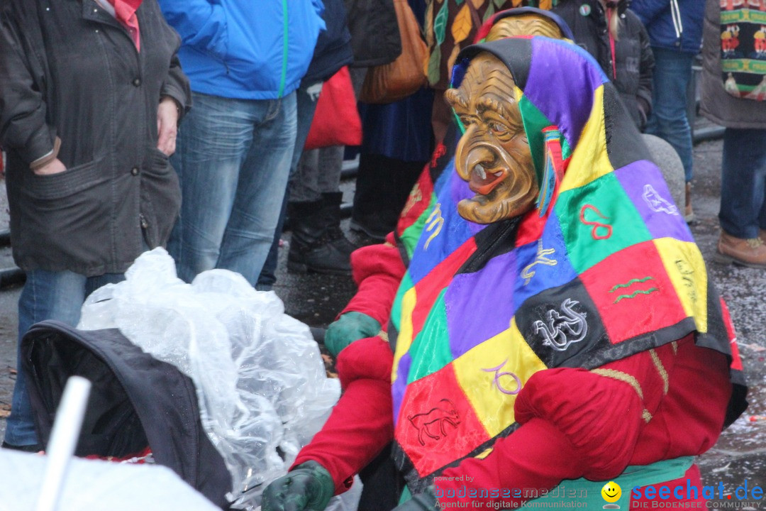 Fasnetsumzug - Fasching: Langenargen am Bodensee, 10.01.2016