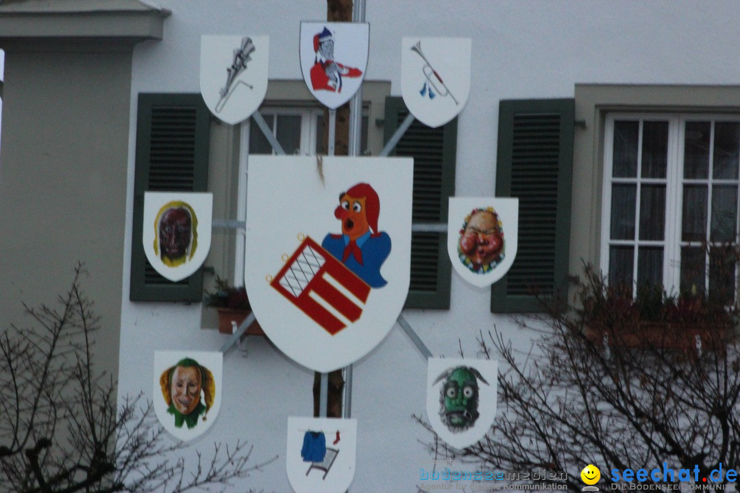 Fasnetsumzug - Fasching: Langenargen am Bodensee, 10.01.2016