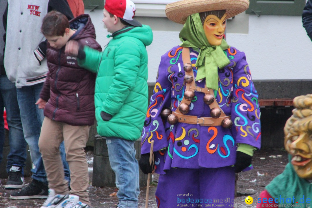 Fasnetsumzug - Fasching: Langenargen am Bodensee, 10.01.2016