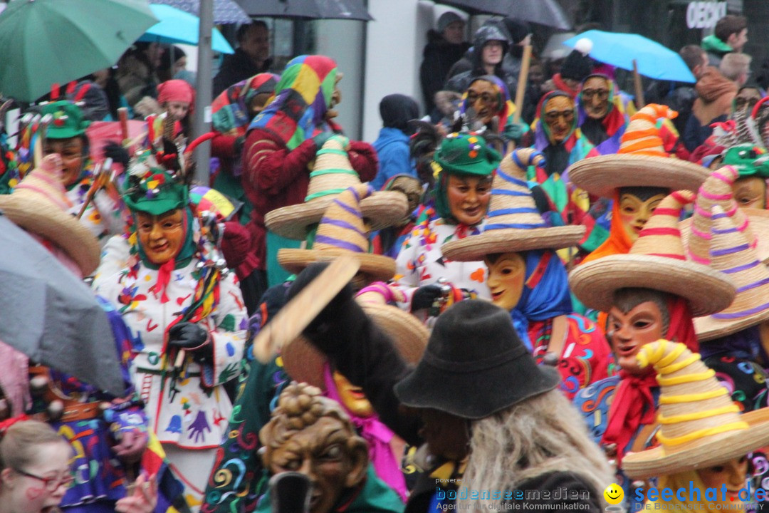 Fasnetsumzug - Fasching: Langenargen am Bodensee, 10.01.2016