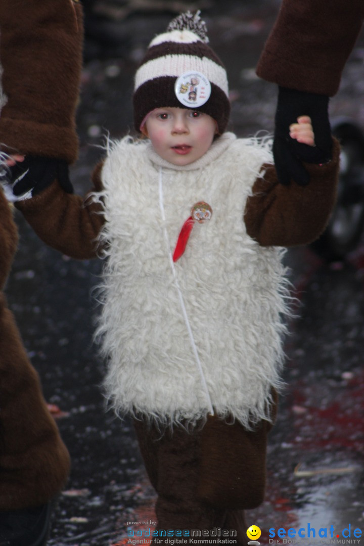 Fasnetsumzug - Fasching: Langenargen am Bodensee, 10.01.2016