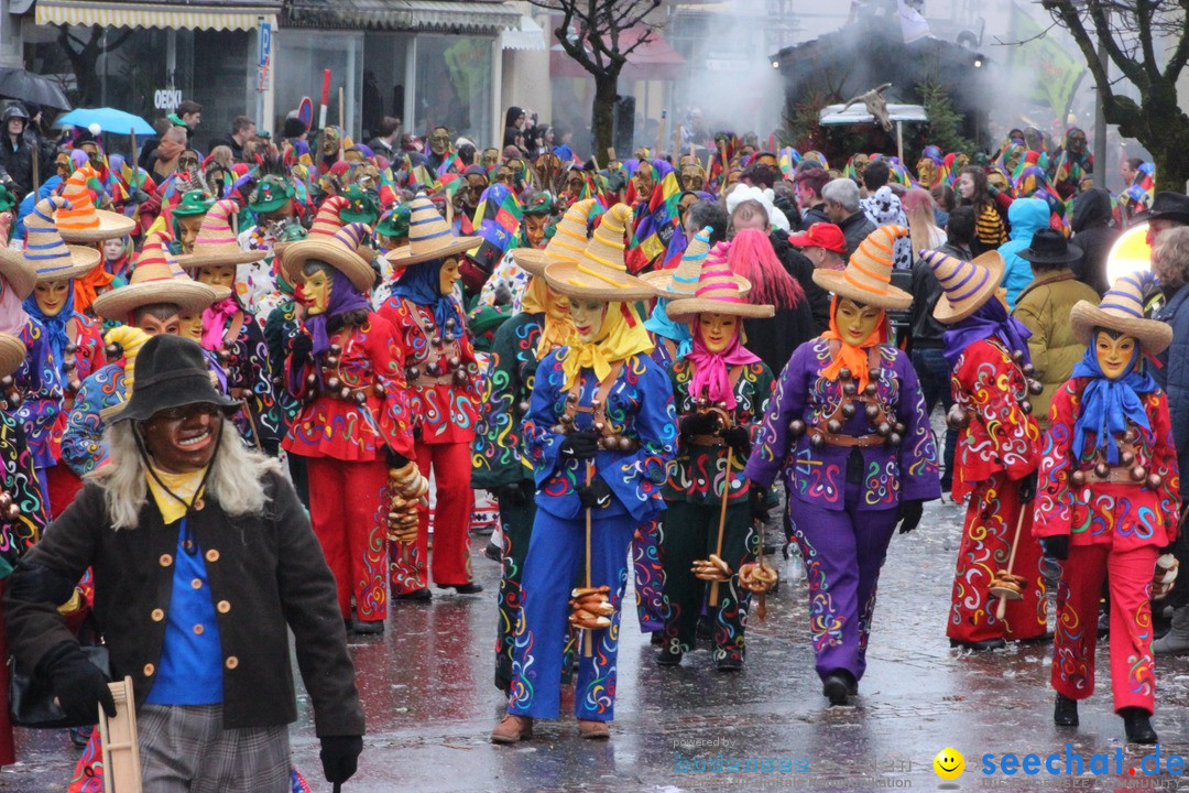 Fasnetsumzug - Fasching: Langenargen am Bodensee, 10.01.2016