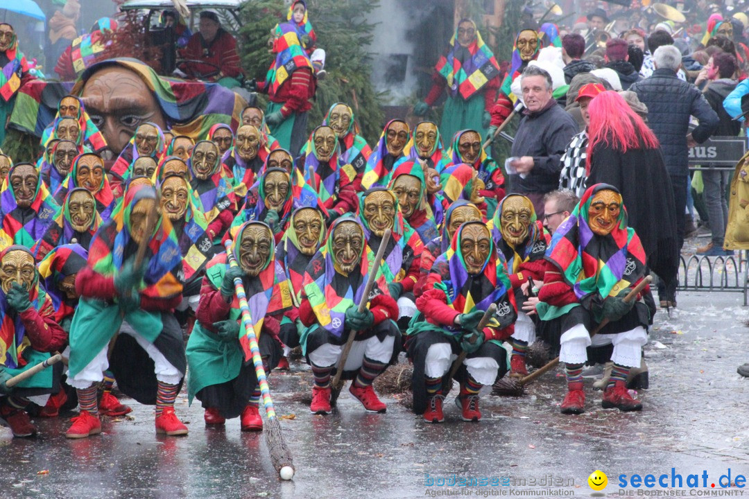 Fasnetsumzug - Fasching: Langenargen am Bodensee, 10.01.2016