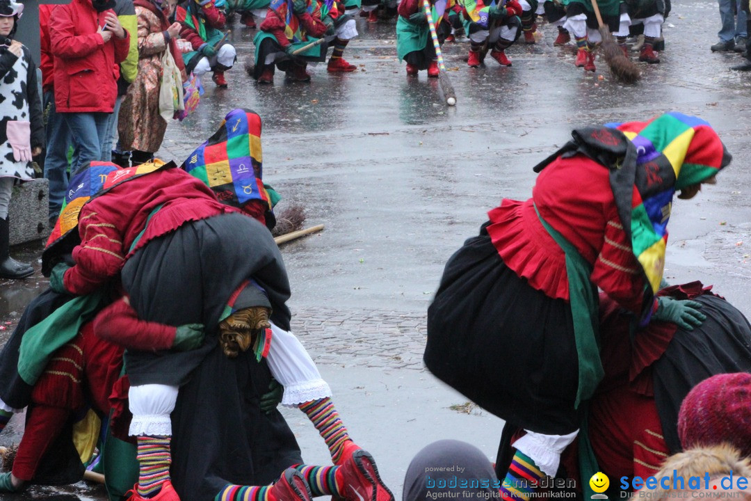 Fasnetsumzug - Fasching: Langenargen am Bodensee, 10.01.2016