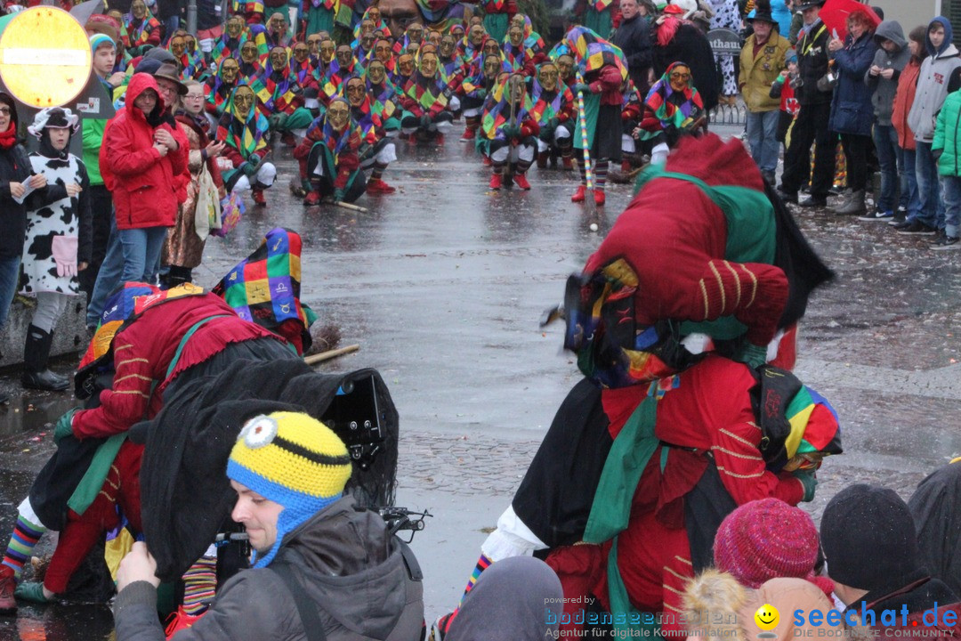 Fasnetsumzug - Fasching: Langenargen am Bodensee, 10.01.2016