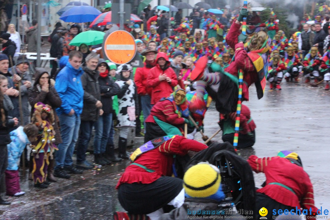 Fasnetsumzug - Fasching: Langenargen am Bodensee, 10.01.2016