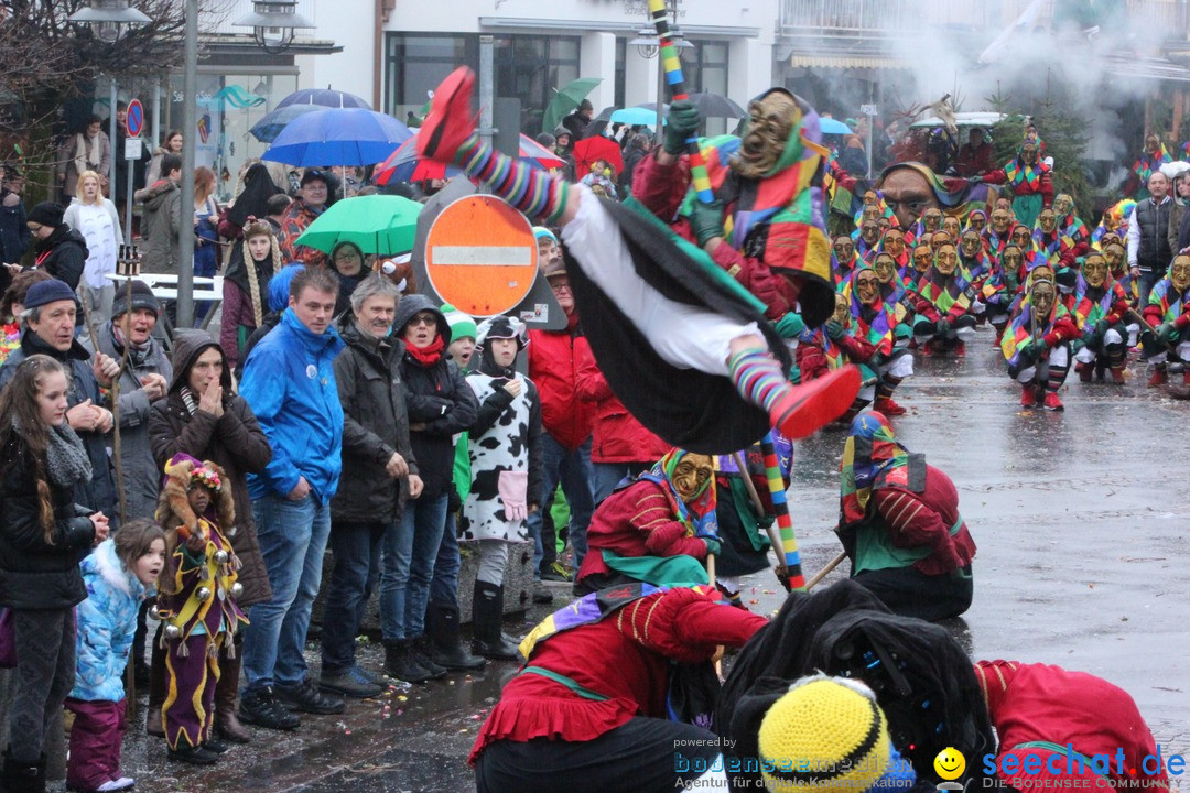 Fasnetsumzug - Fasching: Langenargen am Bodensee, 10.01.2016