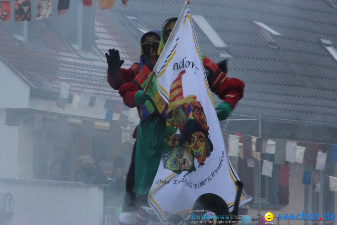 Fasnetsumzug - Fasching: Langenargen am Bodensee, 10.01.2016