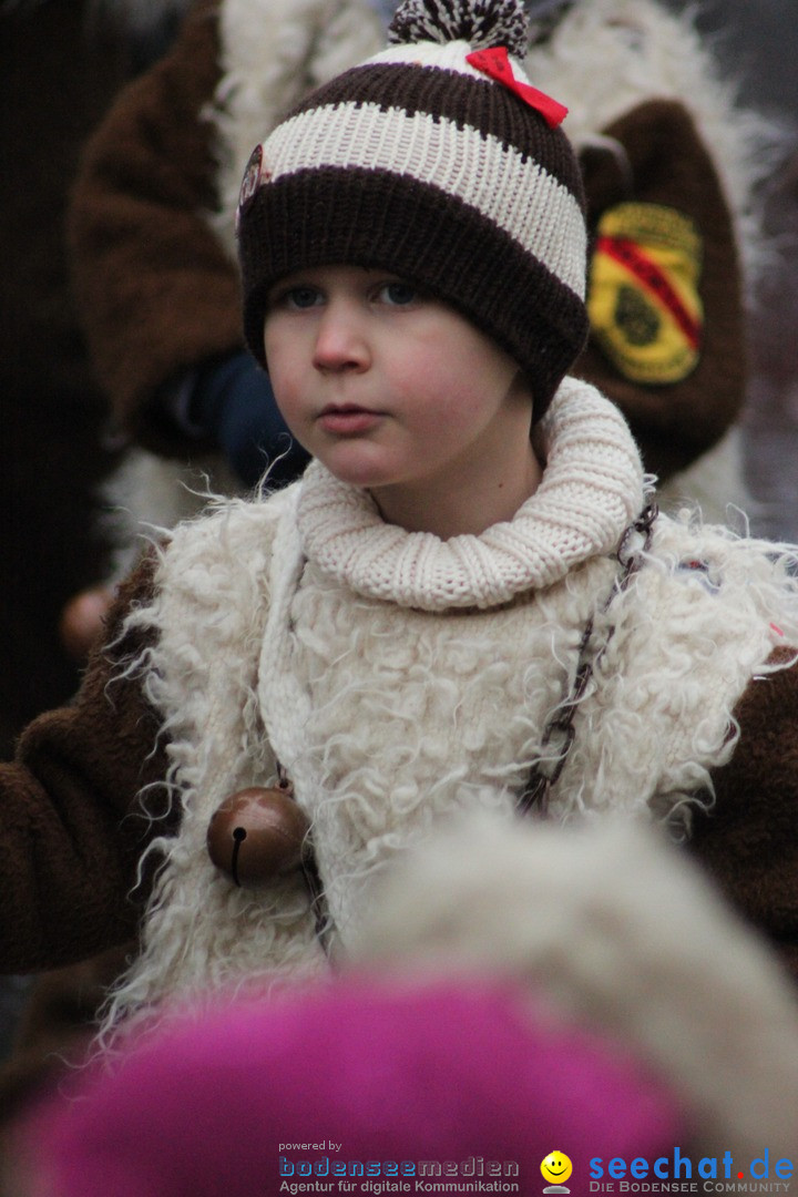 Fasnetsumzug - Fasching: Langenargen am Bodensee, 10.01.2016