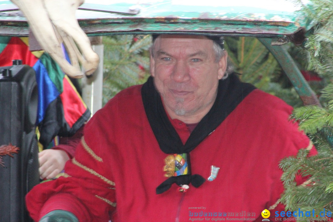 Fasnetsumzug - Fasching: Langenargen am Bodensee, 10.01.2016