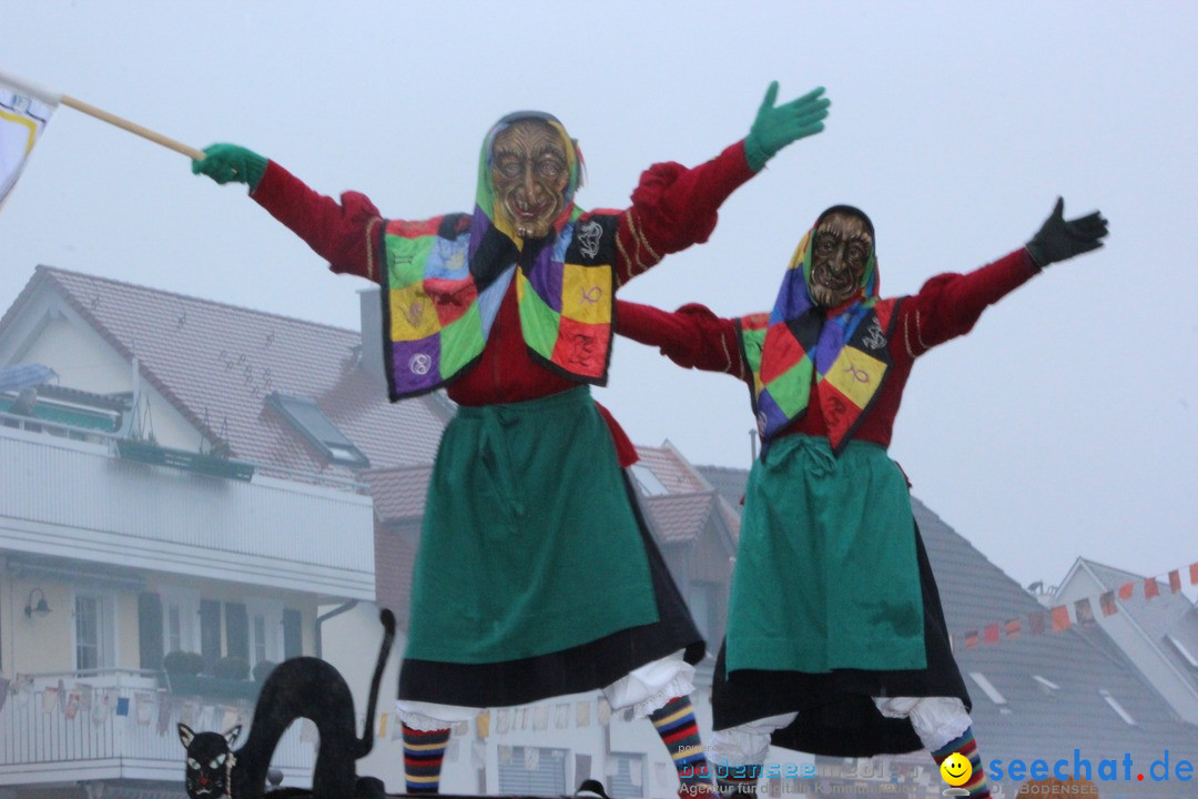 Fasnetsumzug - Fasching: Langenargen am Bodensee, 10.01.2016