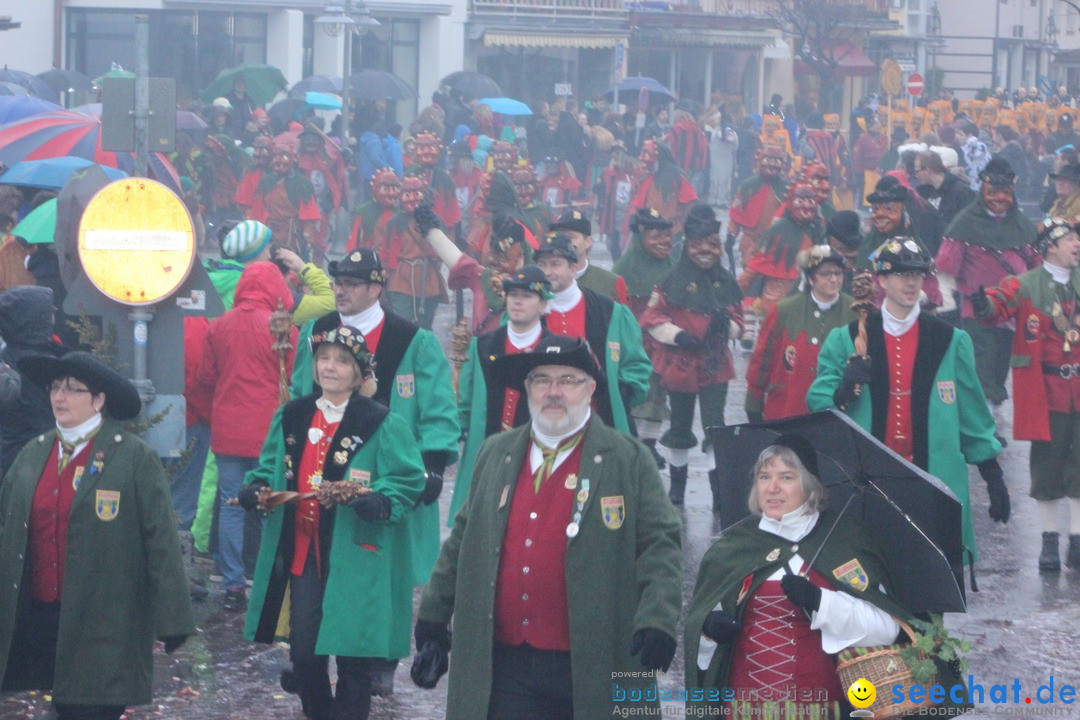 Fasnetsumzug - Fasching: Langenargen am Bodensee, 10.01.2016