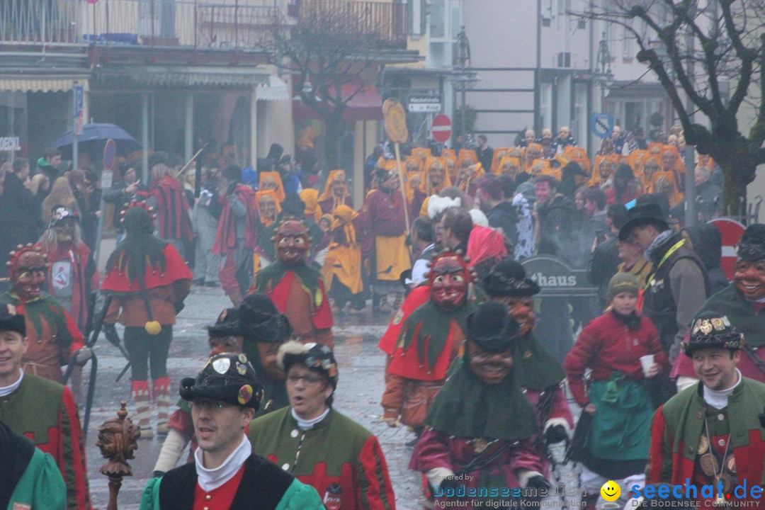 Fasnetsumzug - Fasching: Langenargen am Bodensee, 10.01.2016