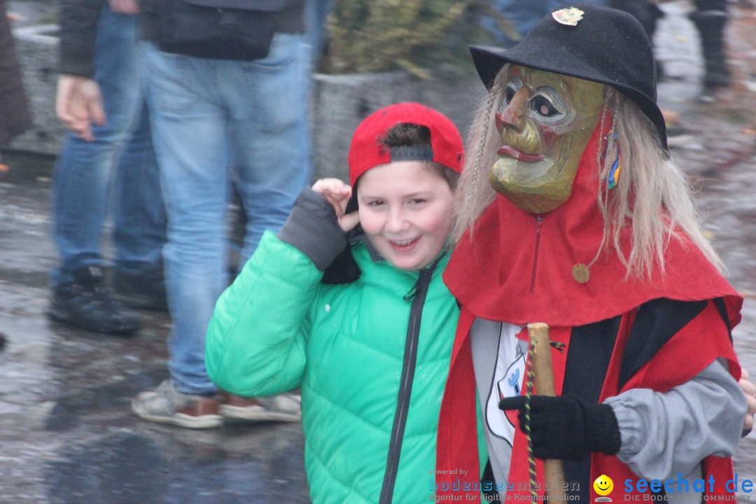 Fasnetsumzug - Fasching: Langenargen am Bodensee, 10.01.2016