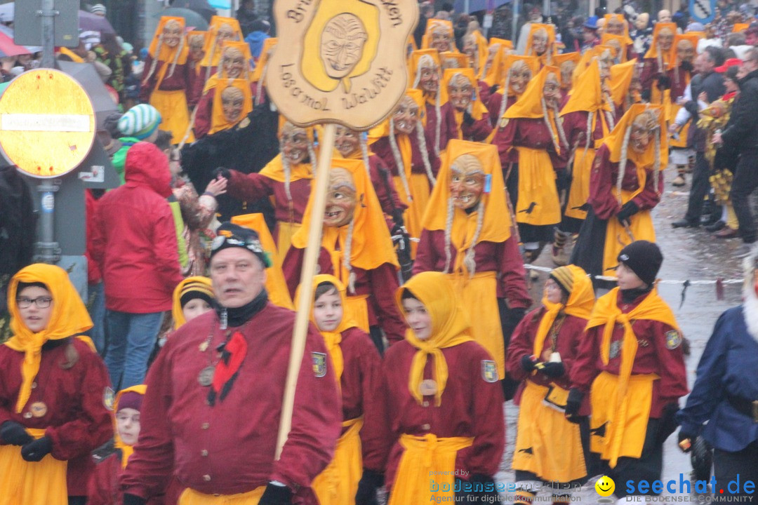 Fasnetsumzug - Fasching: Langenargen am Bodensee, 10.01.2016