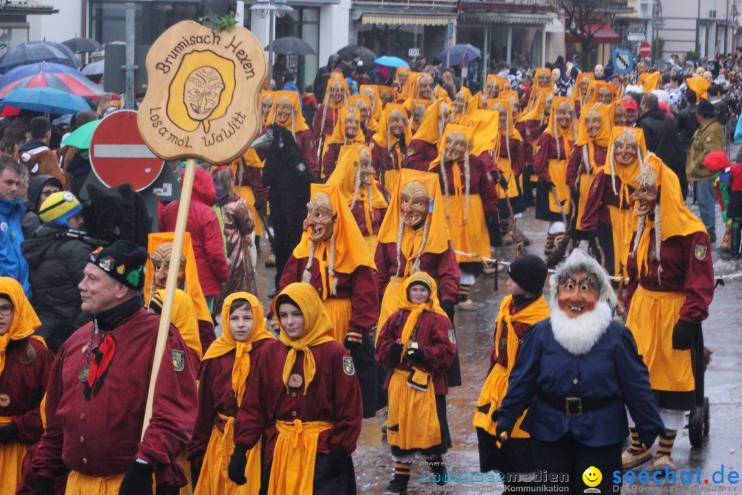 Fasnetsumzug - Fasching: Langenargen am Bodensee, 10.01.2016