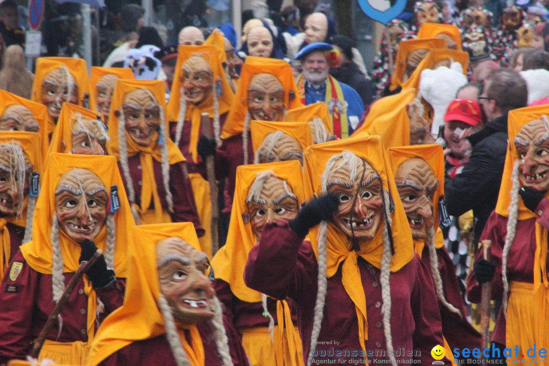 Fasnetsumzug - Fasching: Langenargen am Bodensee, 10.01.2016