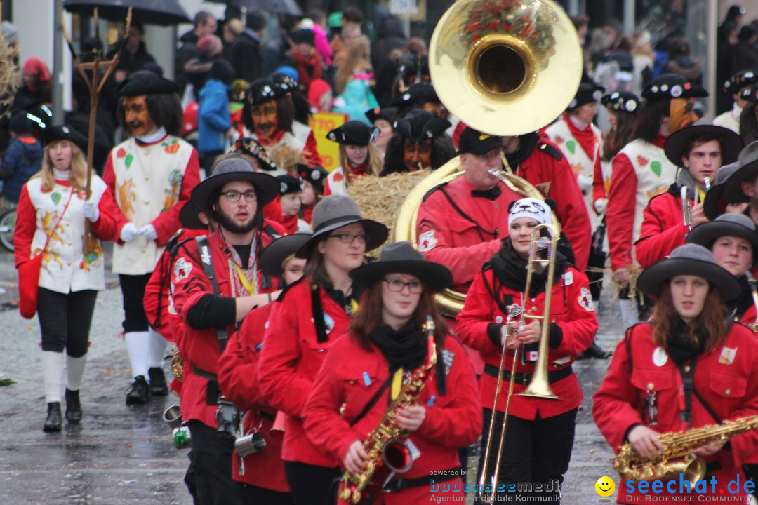 Fasnetsumzug - Fasching: Langenargen am Bodensee, 10.01.2016