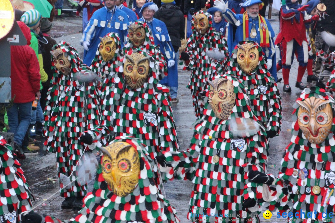 Fasnetsumzug - Fasching: Langenargen am Bodensee, 10.01.2016